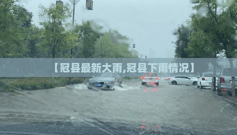 【冠县最新大雨,冠县下雨情况】
