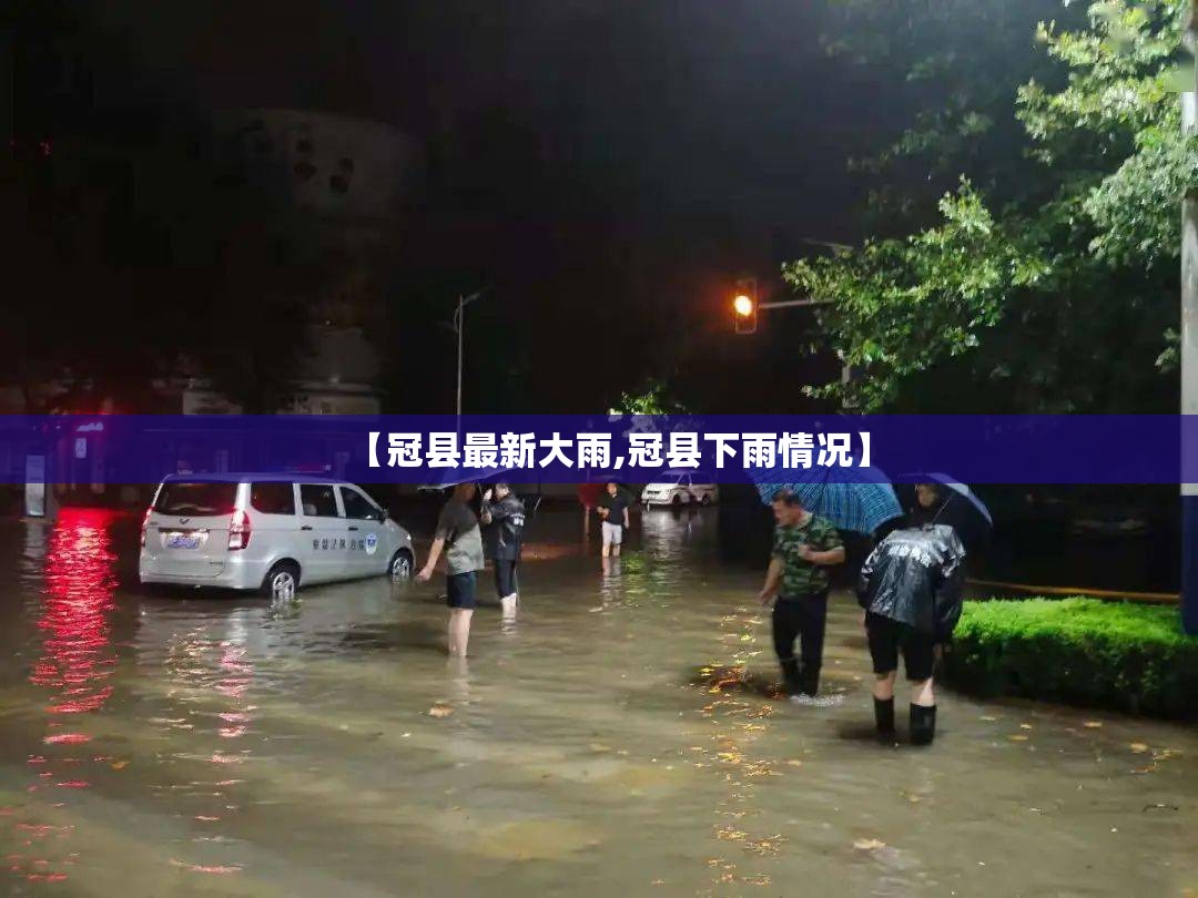 【施慧达苯磺酸左旋氨氯地平片/苯磺酸左旋氨氯地平片】