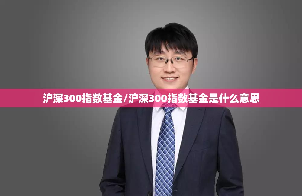 沪深300指数基金/沪深300指数基金是什么意思