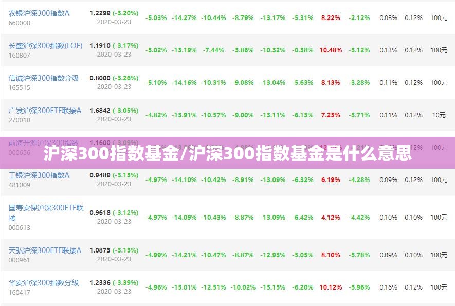 沪深300指数基金/沪深300指数基金是什么意思