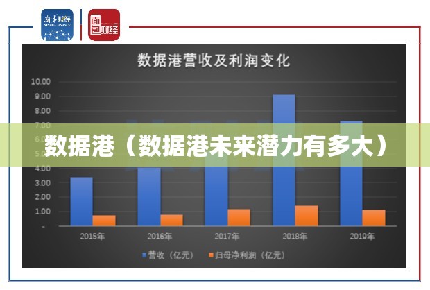 数据港（数据港未来潜力有多大）