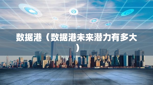 数据港（数据港未来潜力有多大）
