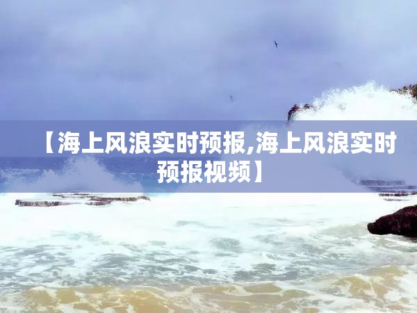 【海上风浪实时预报,海上风浪实时预报视频】