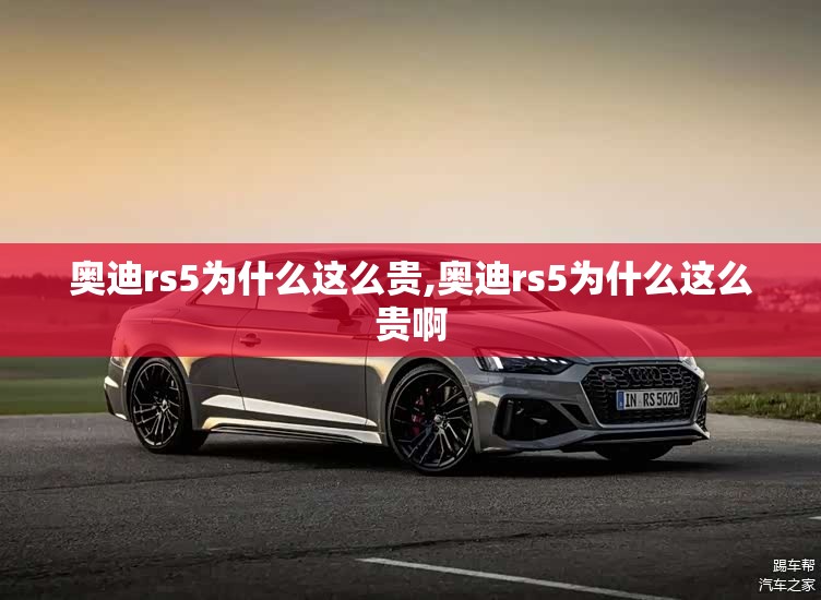 奥迪rs5为什么这么贵,奥迪rs5为什么这么贵啊