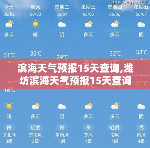 滨海天气预报15天查询,潍坊滨海天气预报15天查询