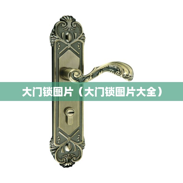 大门锁图片（大门锁图片大全）