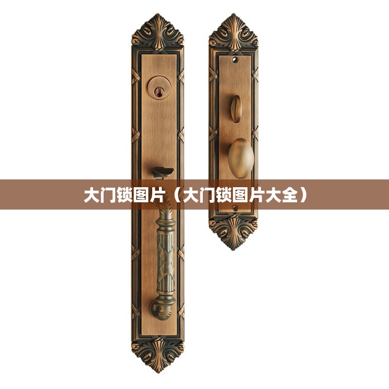 大门锁图片（大门锁图片大全）