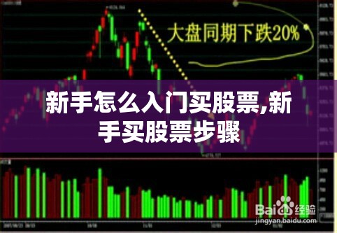 新手怎么入门买股票,新手买股票步骤
