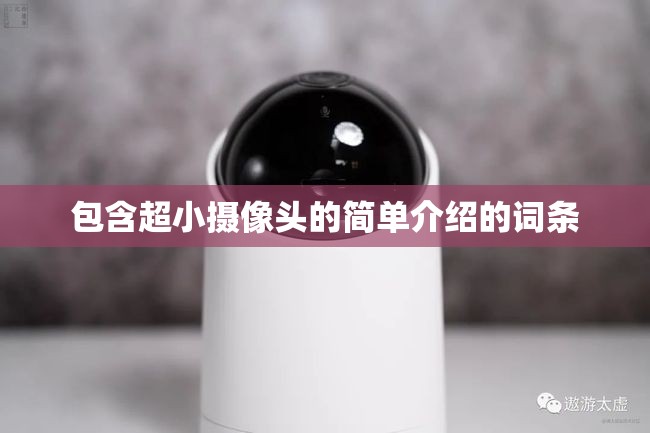 包含超小摄像头的简单介绍的词条