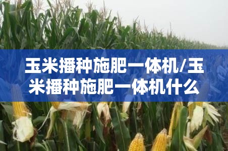 【赛欧3隐藏功能介绍,赛欧3隐藏功能介绍图】