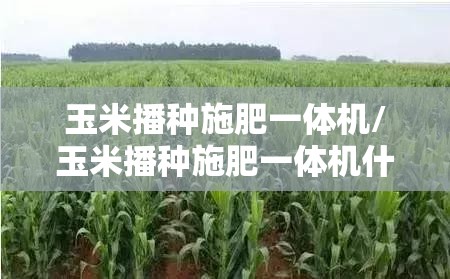 玉米播种施肥一体机/玉米播种施肥一体机什么牌子好