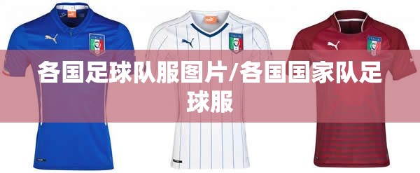 西安华山旅游攻略,70岁老年人游华山最佳攻略