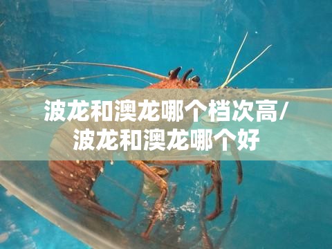 三祥新材最新消息/三祥新材百度百科