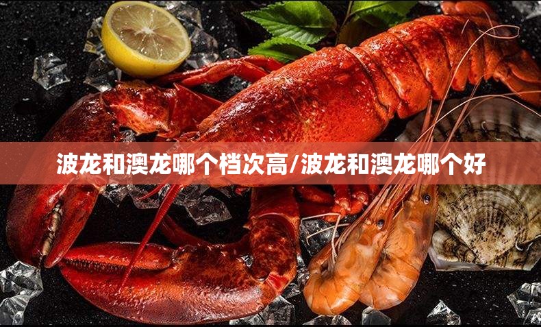 波龙和澳龙哪个档次高/波龙和澳龙哪个好