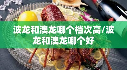 波龙和澳龙哪个档次高/波龙和澳龙哪个好