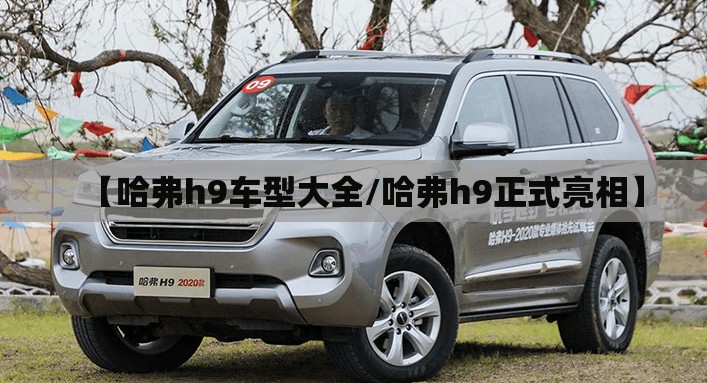 【哈弗h9车型大全/哈弗h9正式亮相】