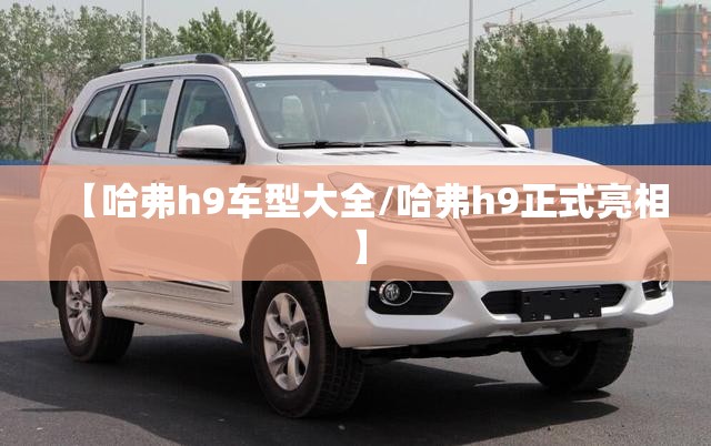 【哈弗h9车型大全/哈弗h9正式亮相】