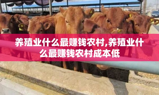 养殖业什么最赚钱农村,养殖业什么最赚钱农村成本低