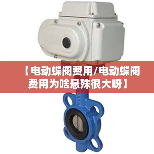 【电动蝶阀费用/电动蝶阀费用为啥悬殊很大呀】