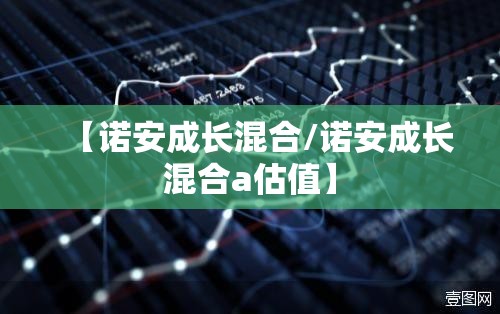 【诺安成长混合/诺安成长混合a估值】