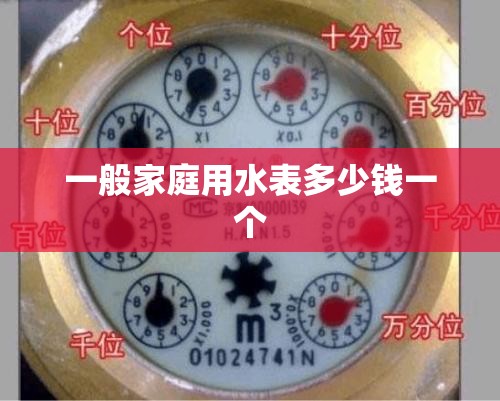 一般家庭用水表多少钱一个