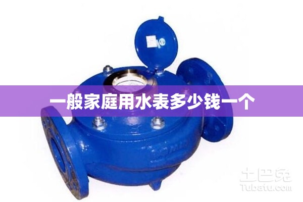一般家庭用水表多少钱一个