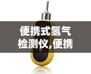 便携式氢气检测仪,便携式氢气检测仪量程有多少