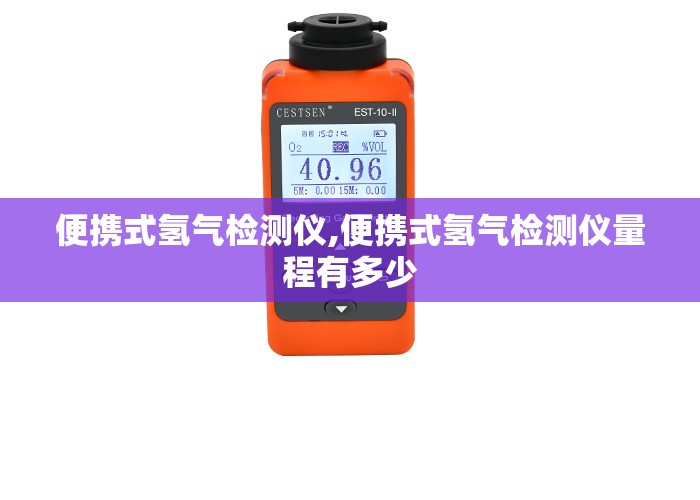 便携式氢气检测仪,便携式氢气检测仪量程有多少