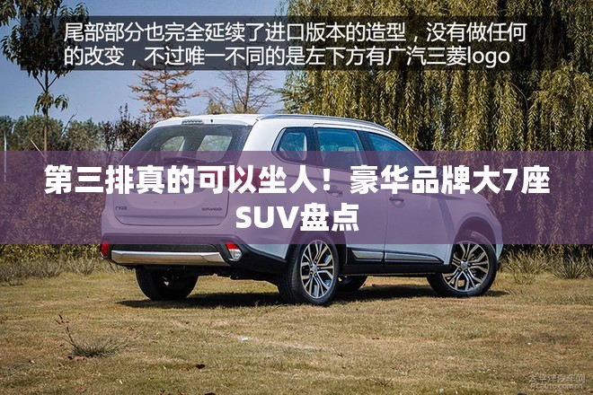 【杏树苗近来比较好的品种,晚熟杏树苗近来比较好的品种】