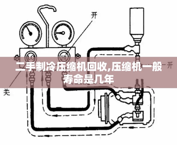 【河北沧州最大的钢管厂,河北沧州最大的钢管厂在哪里】