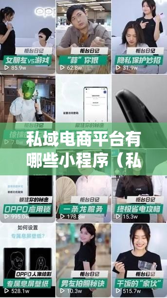 私域电商平台有哪些小程序（私域电商app）