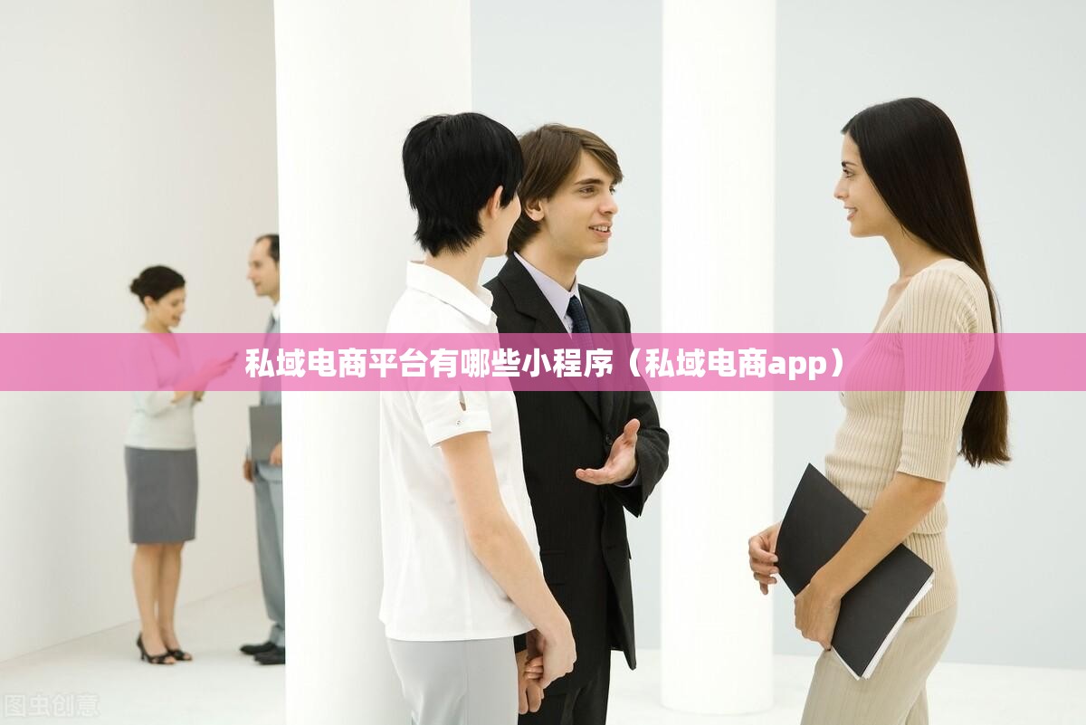 私域电商平台有哪些小程序（私域电商app）