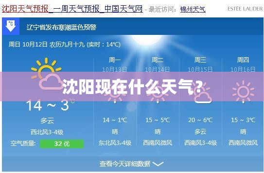 沈阳现在什么天气？