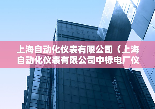 上海自动化仪表有限公司（上海自动化仪表有限公司中标电厂仪表成套）