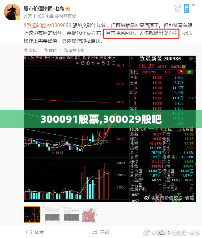 300091股票,300029股吧