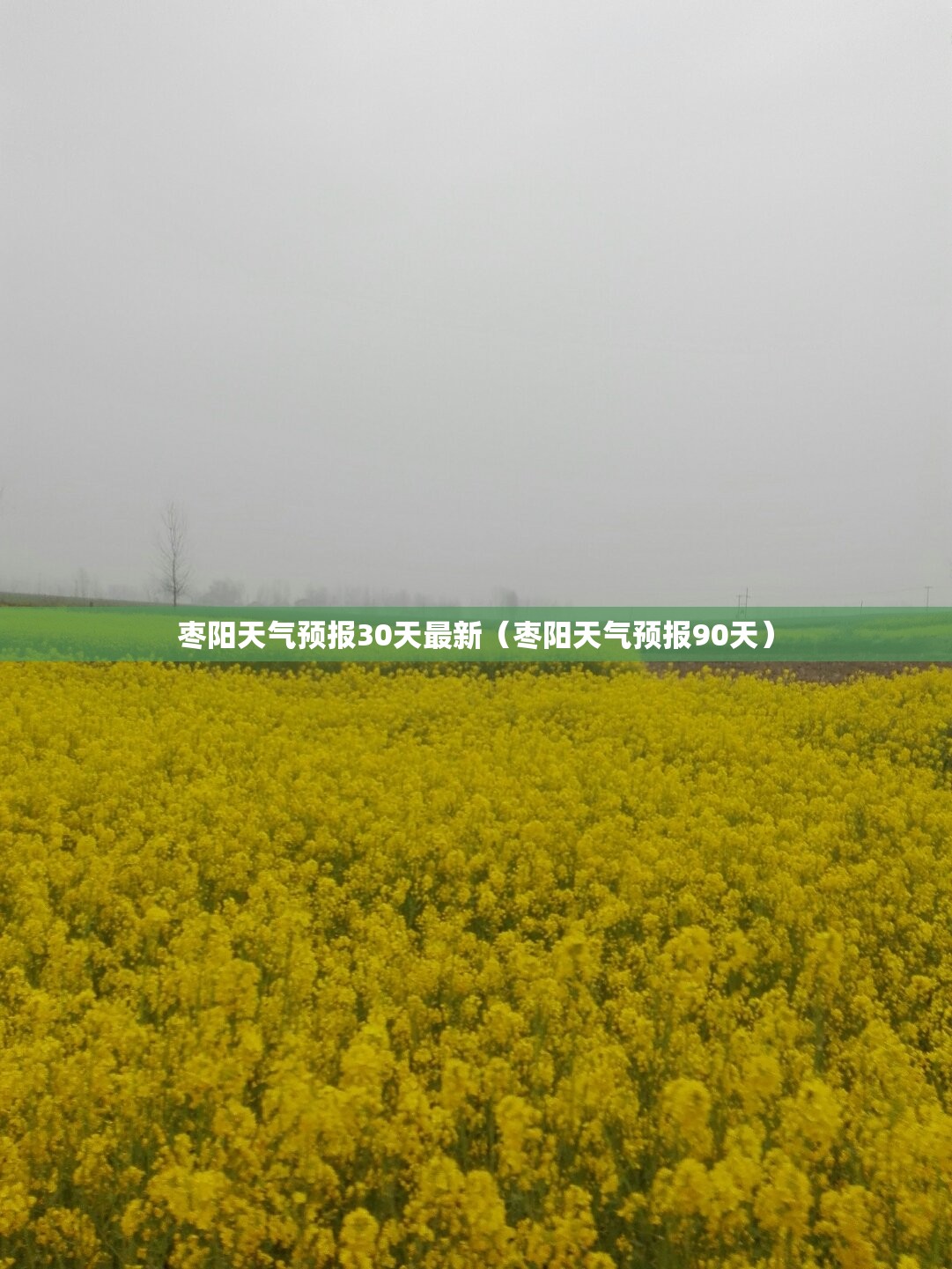 法拉利车辆介绍
