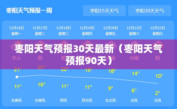 枣阳天气预报30天最新（枣阳天气预报90天）