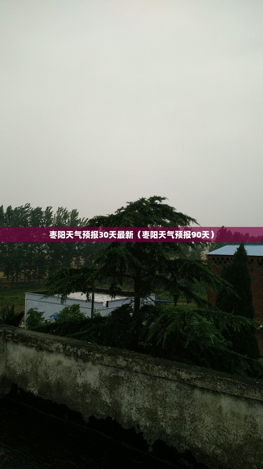 枣阳天气预报30天最新（枣阳天气预报90天）