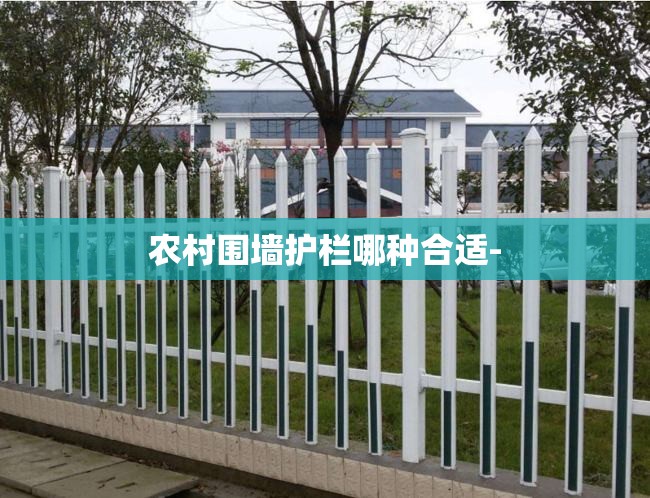农村围墙护栏哪种合适-