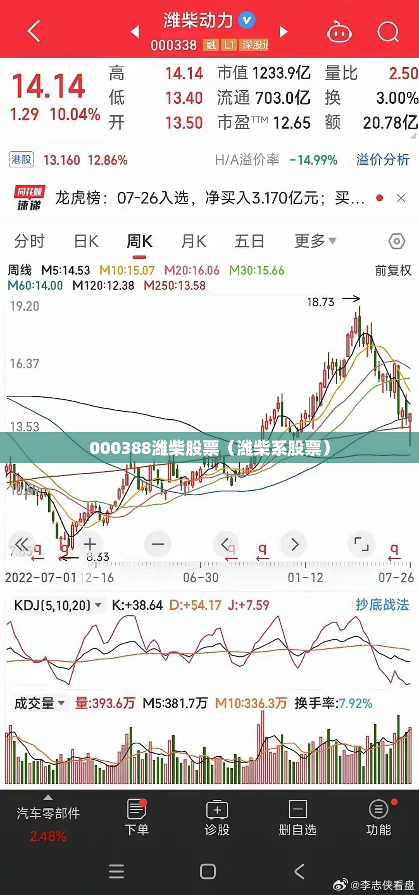 000388潍柴股票（潍柴系股票）