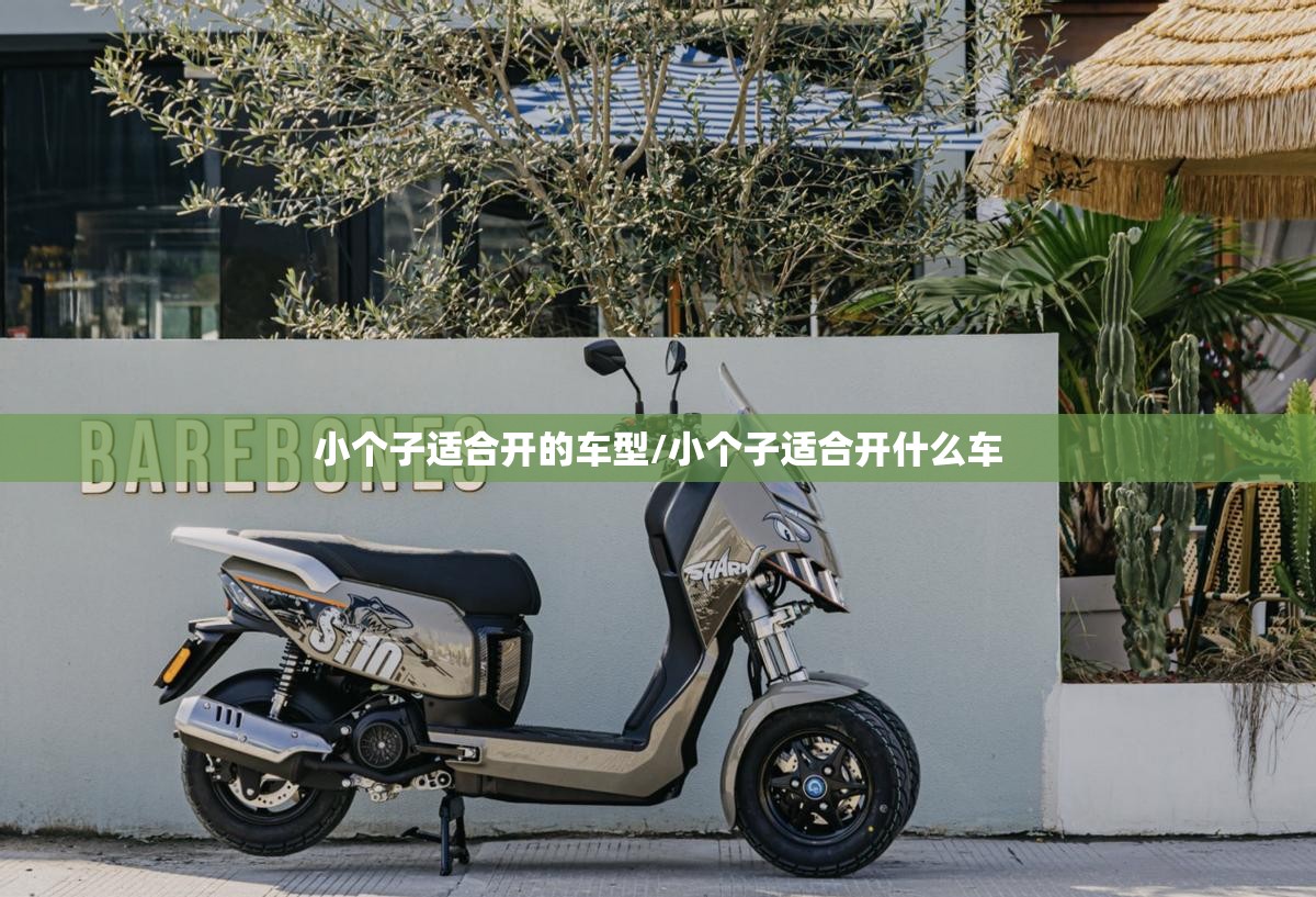 000388潍柴股票（潍柴系股票）
