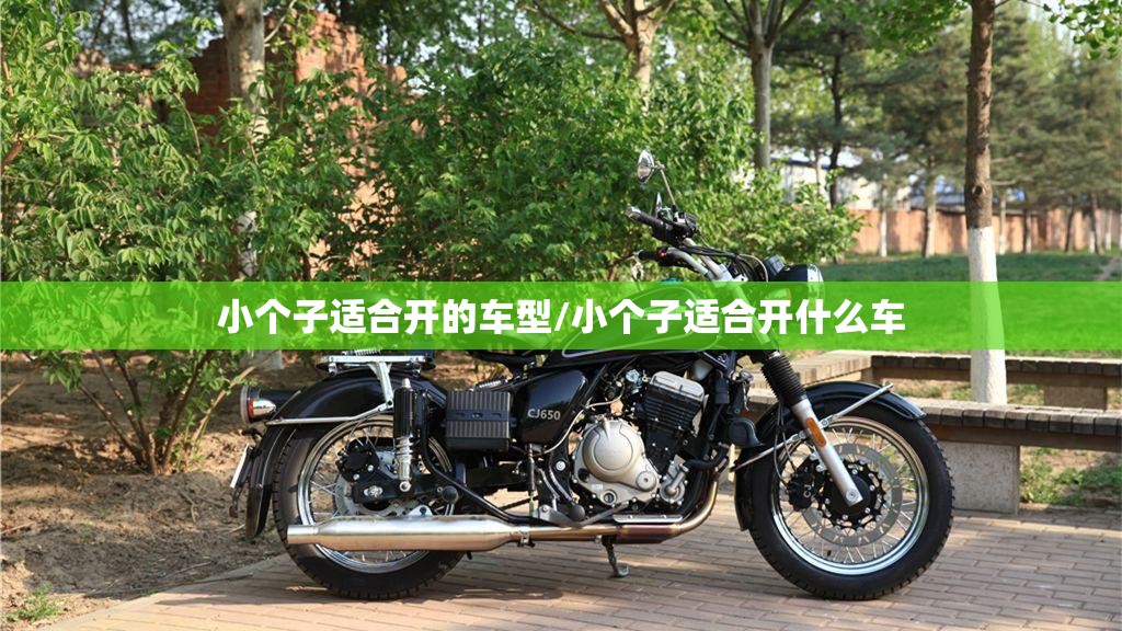 小个子适合开的车型/小个子适合开什么车