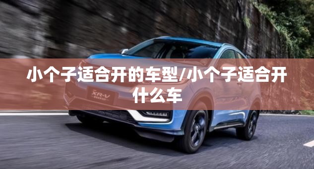 小个子适合开的车型/小个子适合开什么车