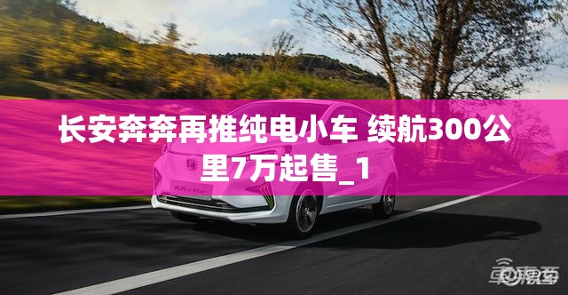 长安奔奔再推纯电小车 续航300公里7万起售_1