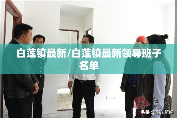 白莲镇最新/白莲镇最新领导班子名单