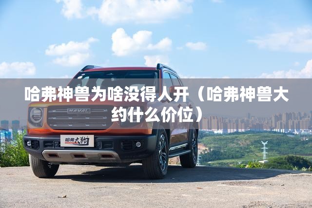 众泰t600中控升级资源下载/众泰t600中控怎么安装第三方app