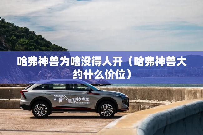哈弗神兽为啥没得人开（哈弗神兽大约什么价位）