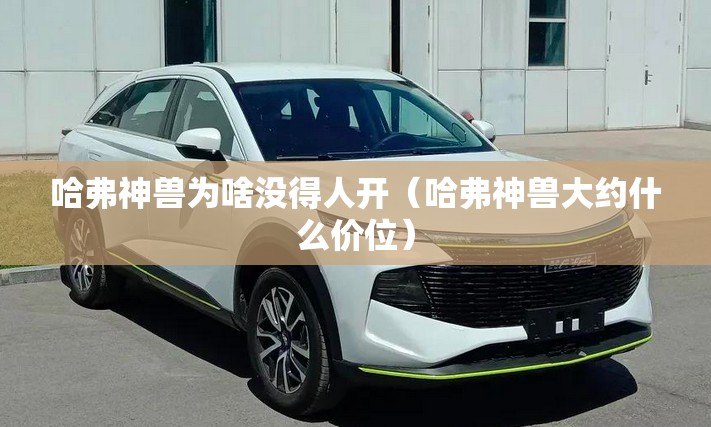 哈弗神兽为啥没得人开（哈弗神兽大约什么价位）
