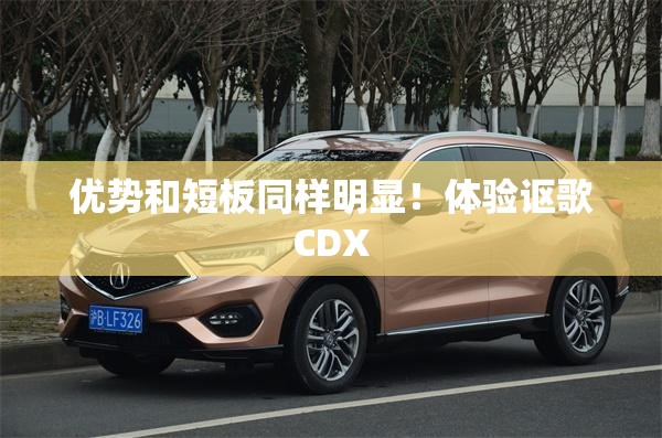 【广晟有色股票目标价,广晟有色股票目标价是多少】