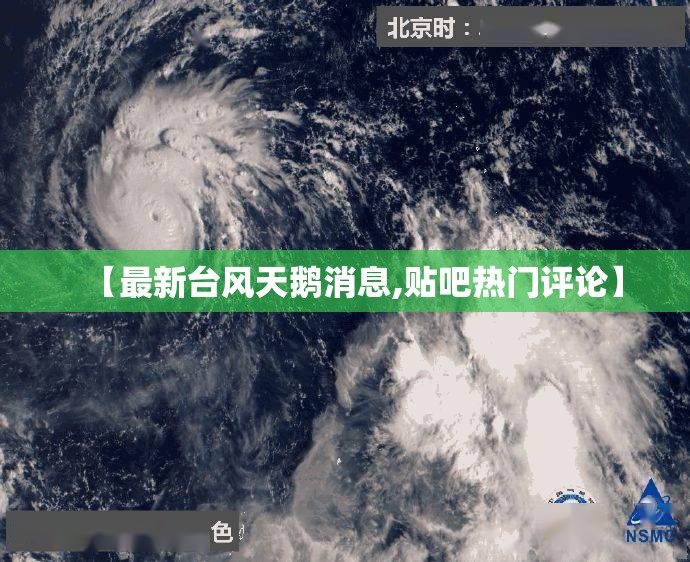 【最新台风天鹅消息,贴吧热门评论】